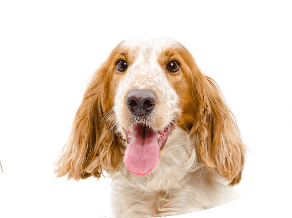 Lotti, die Entspannte